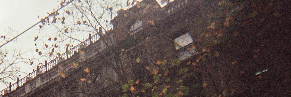 JessicaFreeth_'s profile banner image