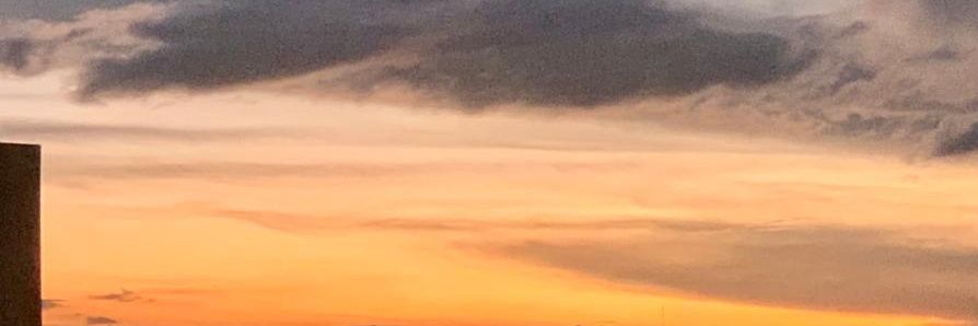 jedilucar's profile banner image