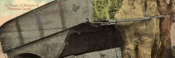 acarse Profile Banner