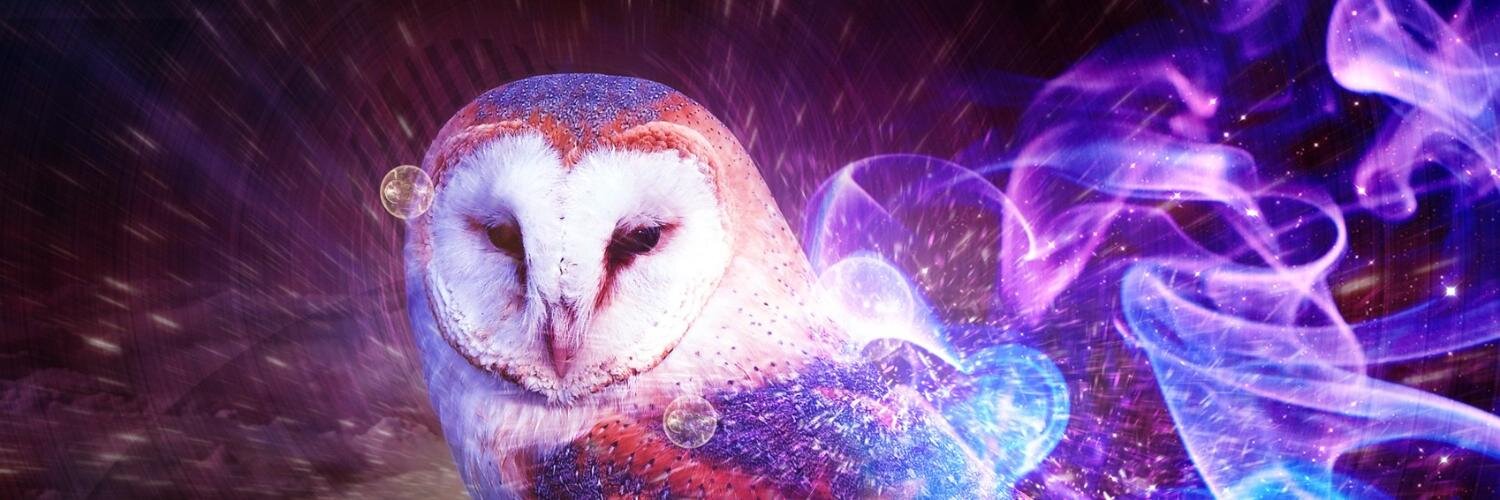 SocialOwlSarah's profile banner image