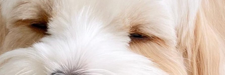 94N01's profile banner image