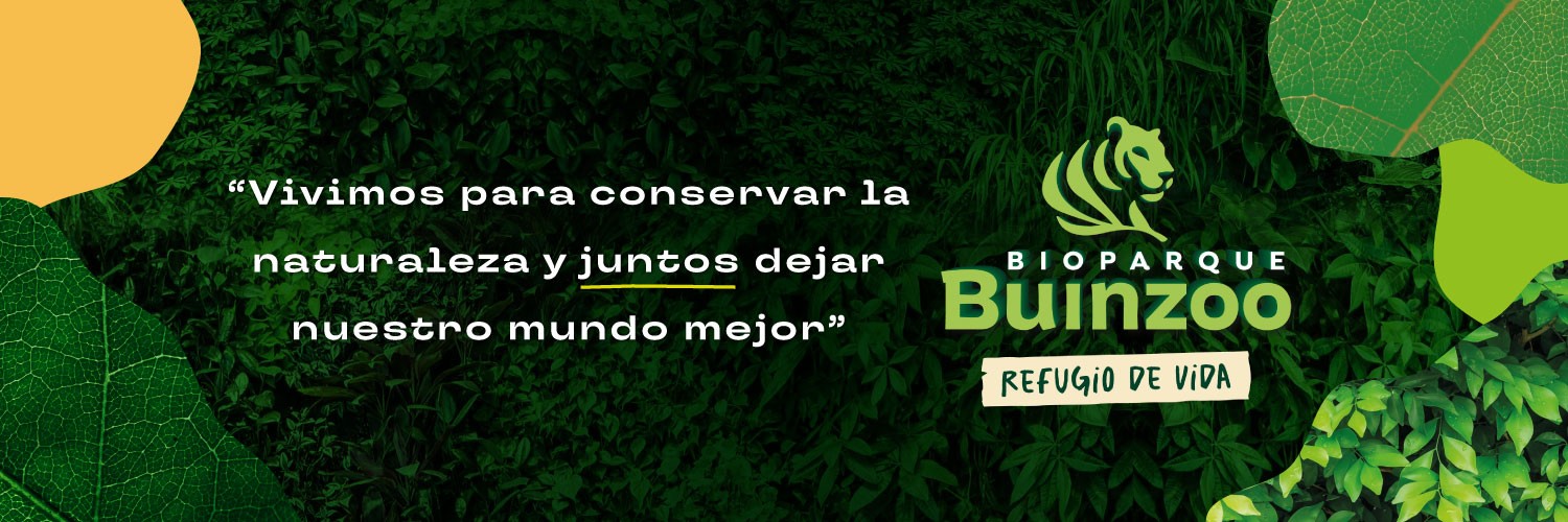 Buin_Zoo's profile banner image