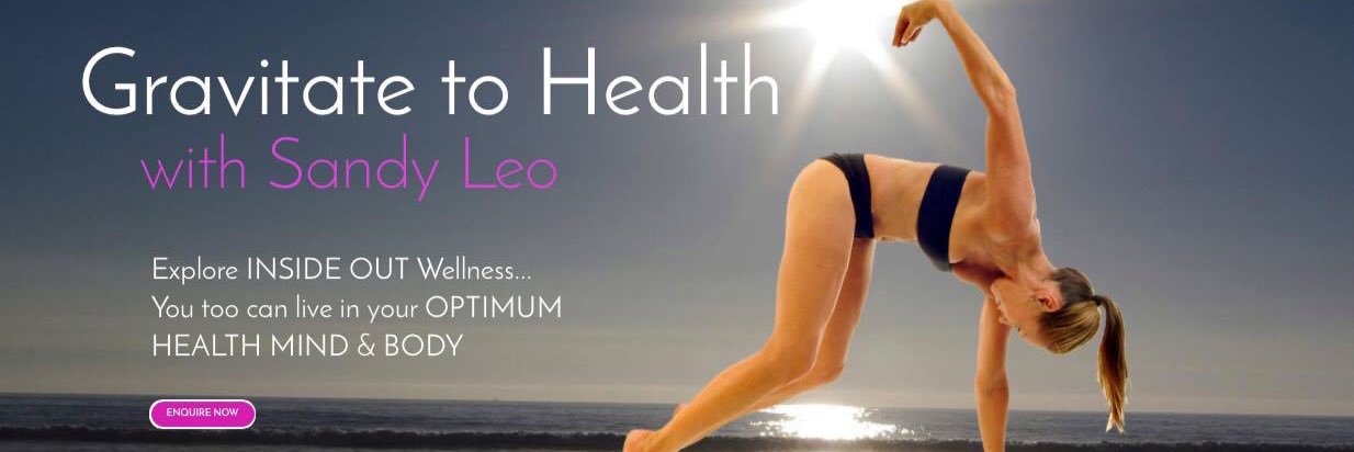 sandyleo_dotcom's profile banner image