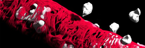 NoursharghLab Profile Banner
