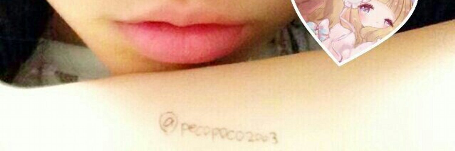 pecopoco2003's profile banner image