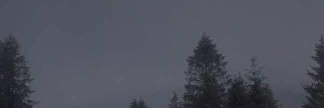 luiz_6661's profile banner image