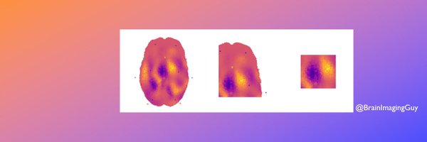BrainImagingGuy Profile Banner