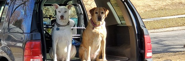 CoachMarcWilson Profile Banner