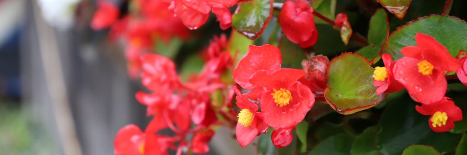 Ooot_44's profile banner image
