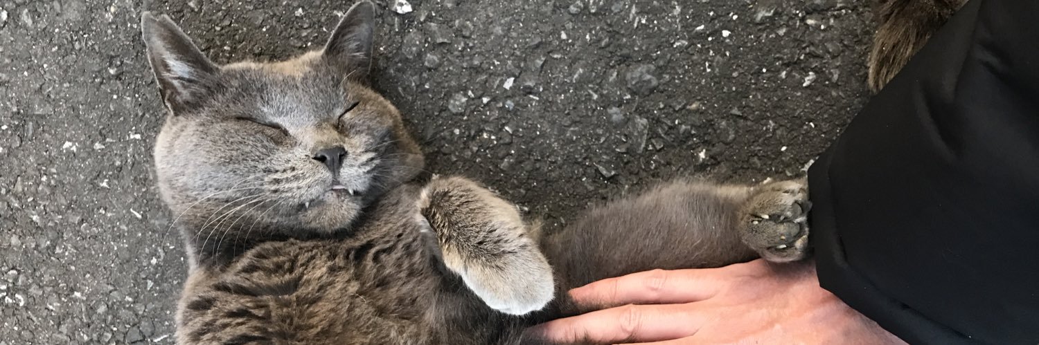 robogoron's profile banner image