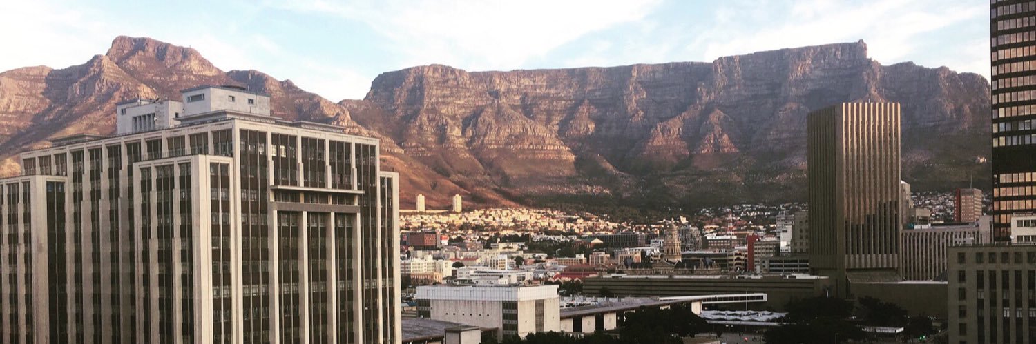 Raynique Meyer banner