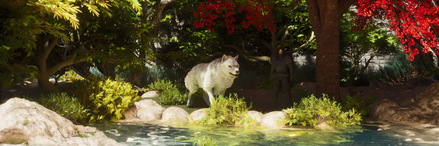 cfcsoccer36's profile banner image