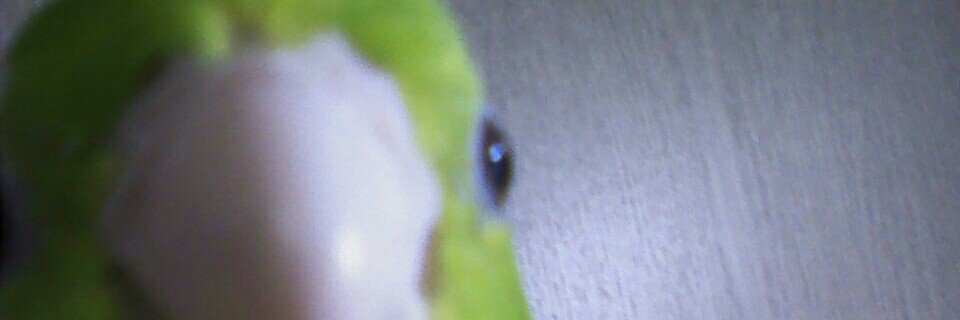 mitsuse_itto's profile banner image