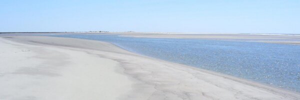 peterbaron Profile Banner