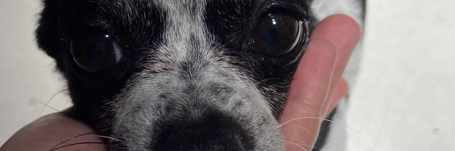brunarc__'s profile banner image