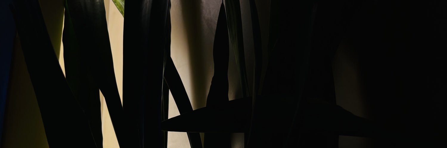 nega amarga 🍯 banner