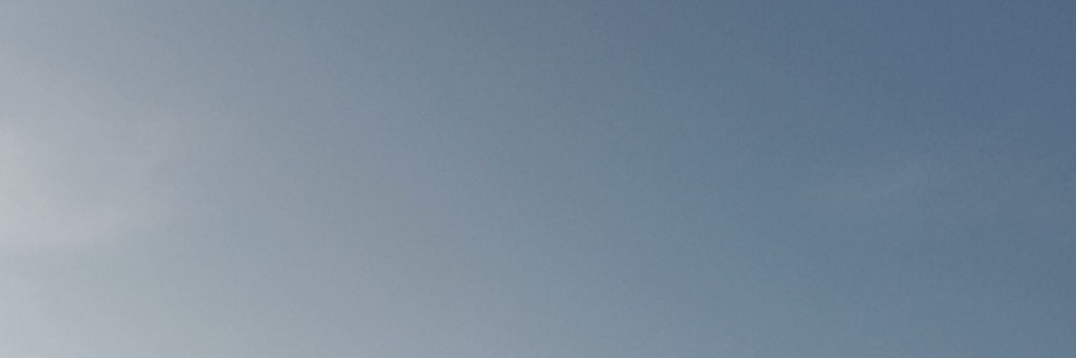 ☠️ banner