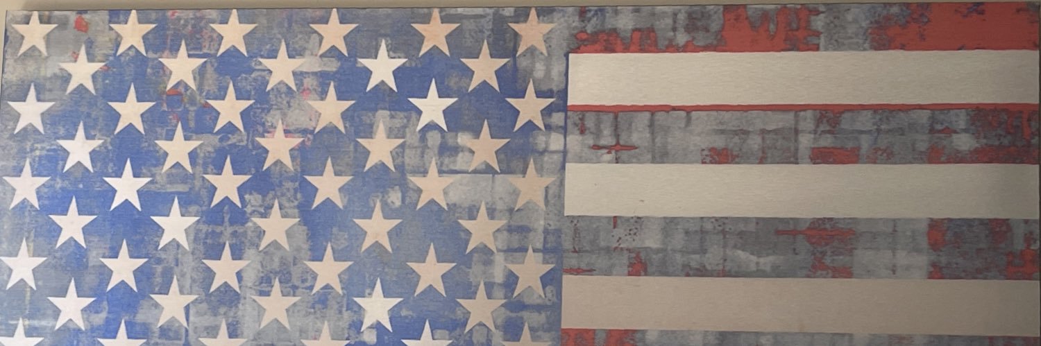 el_oso 🇺🇸's banner