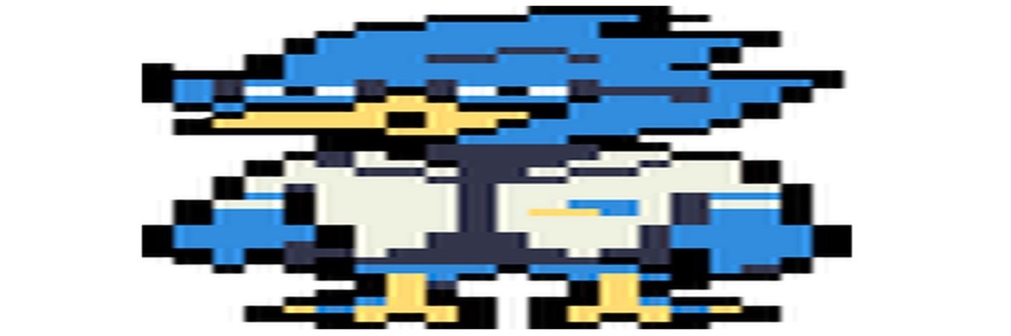 🐦's banner