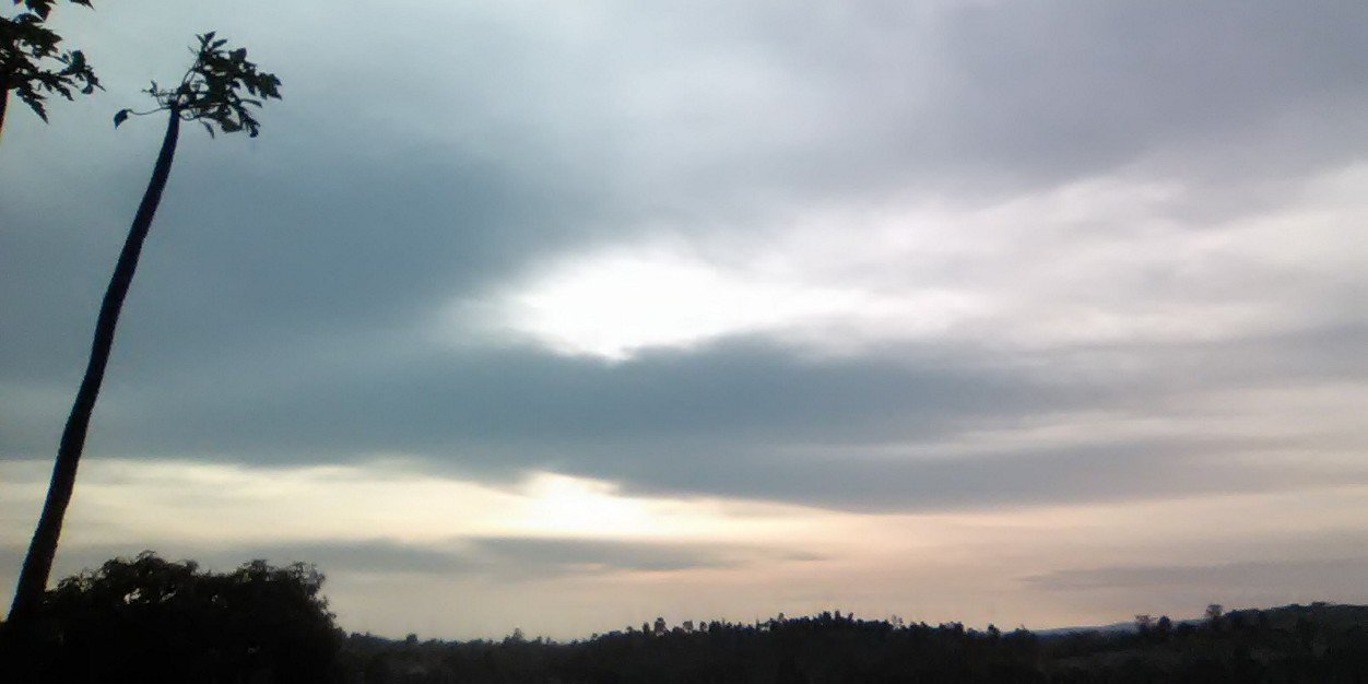 ISINGOMA Edwards banner