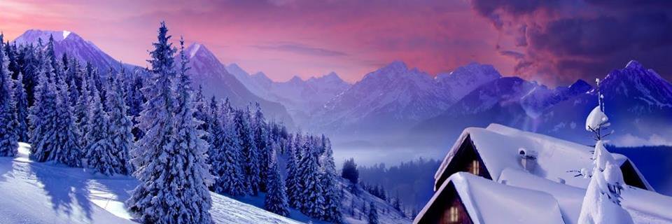 sasteodorgheorg's profile banner image