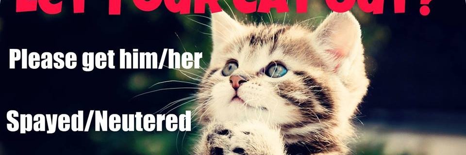 Spayaware's profile banner image