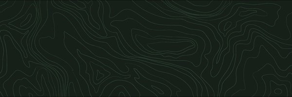 MercatorAI Profile Banner