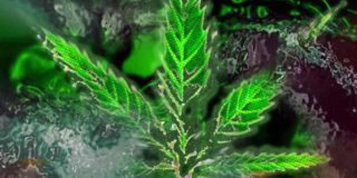 TheRealSamsonS's profile banner image