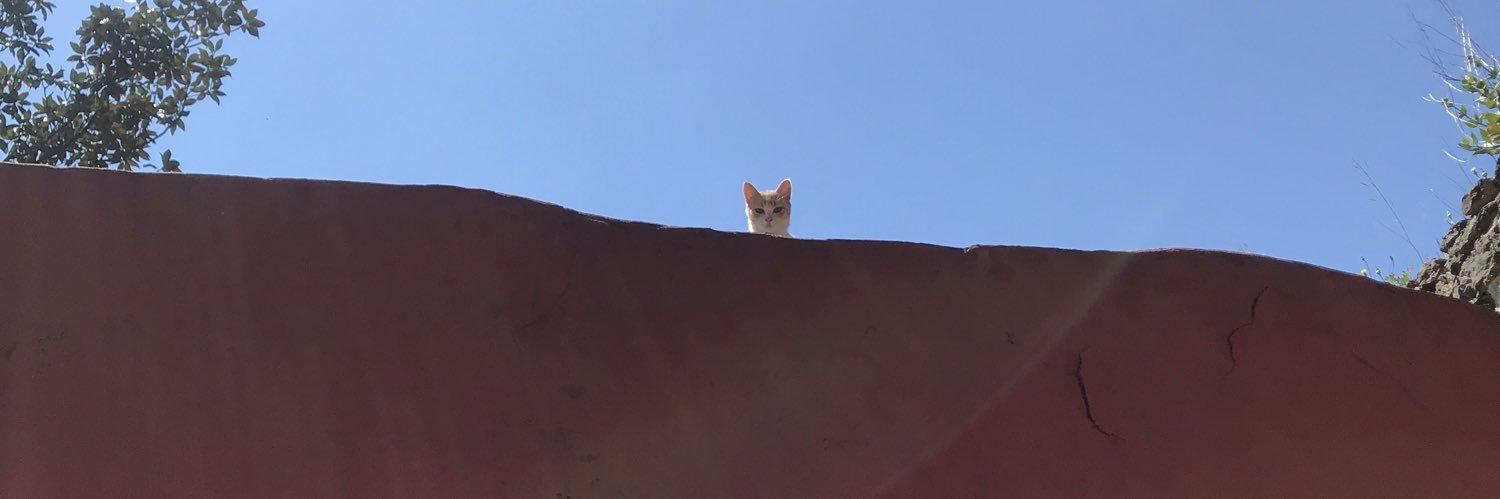 laraoncel's profile banner image
