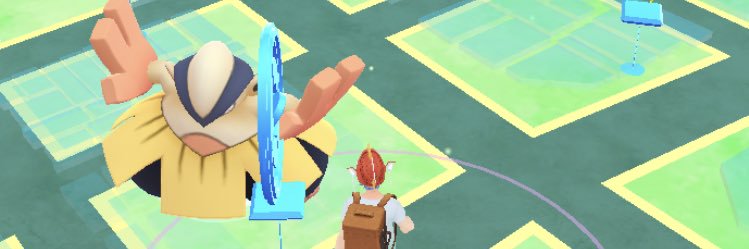 小さなどせいさん banner