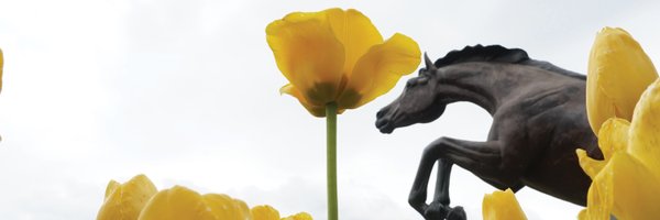 KzooICMS Profile Banner