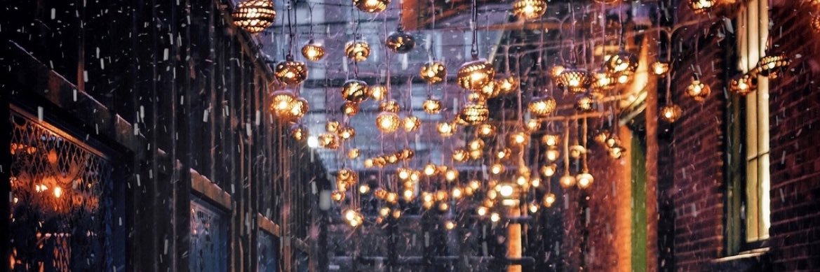 The Distillery District banner