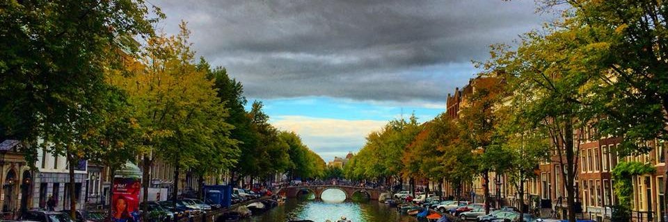 AdelElamir's profile banner image