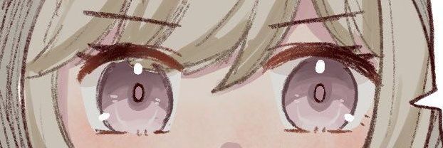 Trainer Raven banner