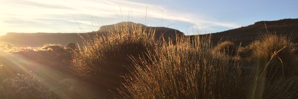 AndrewWJHarding Profile Banner