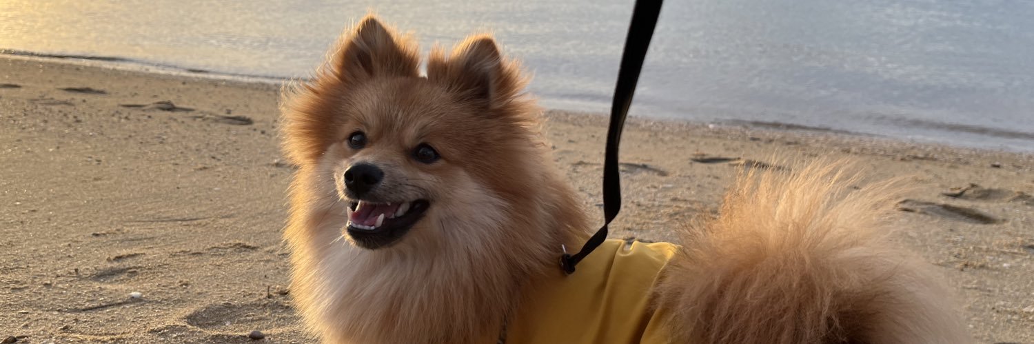 德川　慎之介 banner