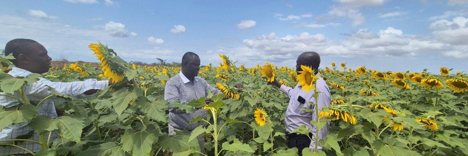 Eng. Jairus Serede banner