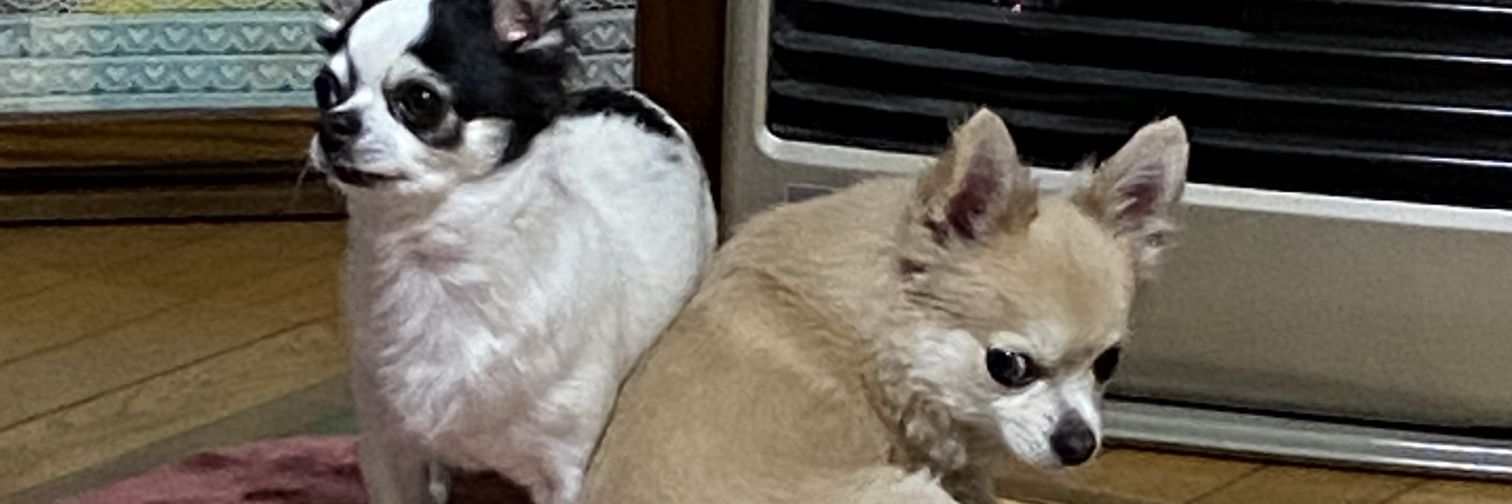 ge_ru_n's profile banner image