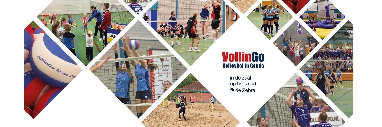 VollinGo banner