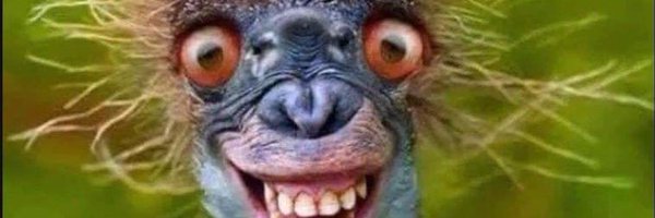 TyRohrer Profile Banner