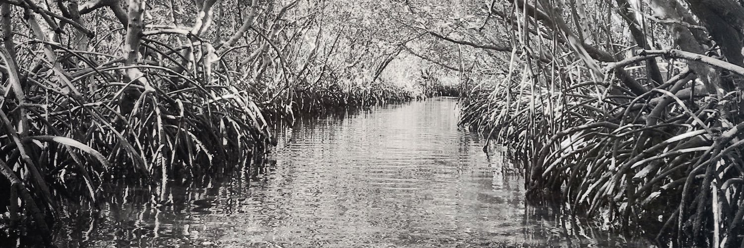 apadtweets's profile banner image