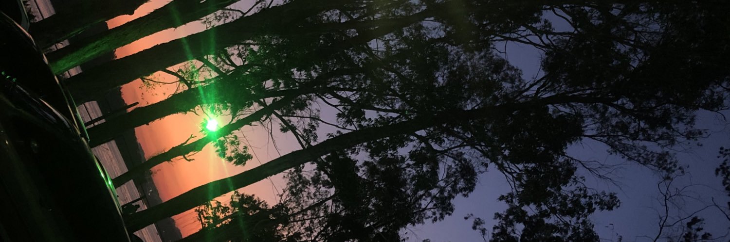 Nathalia Marques banner