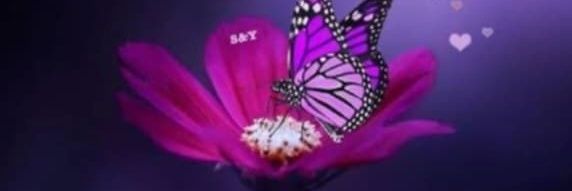 Non45084161's profile banner image