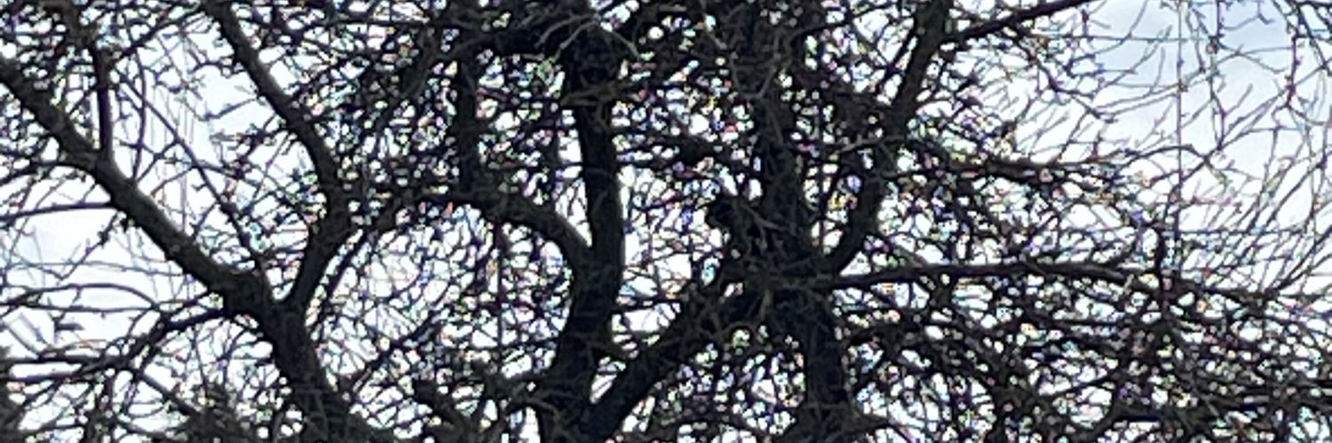 Inger Jakobsen 🇩🇰🇺🇦 banner