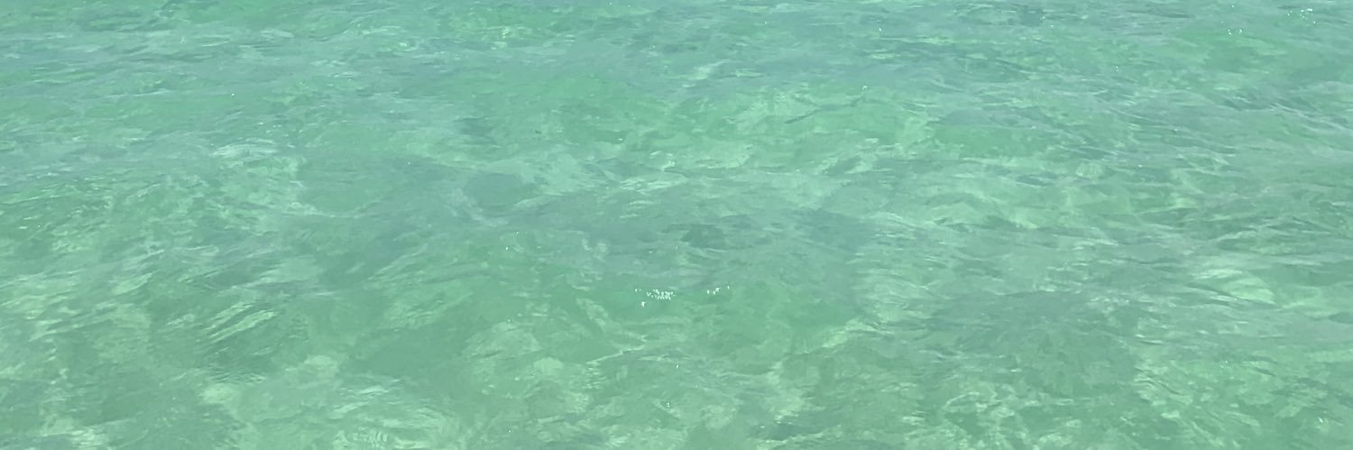 netfligsss's profile banner image