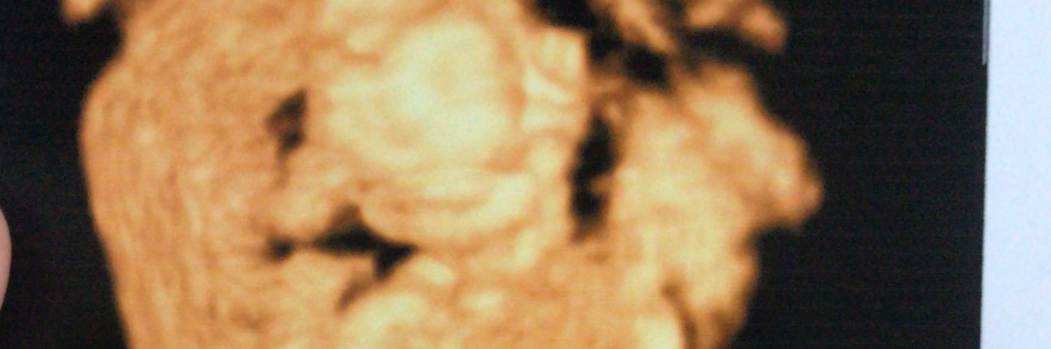 nazuashinta's profile banner image