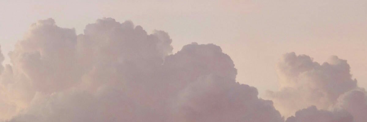 ___sunflwr___'s profile banner image