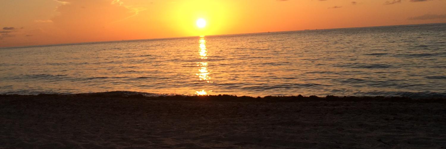 Bird305's profile banner image