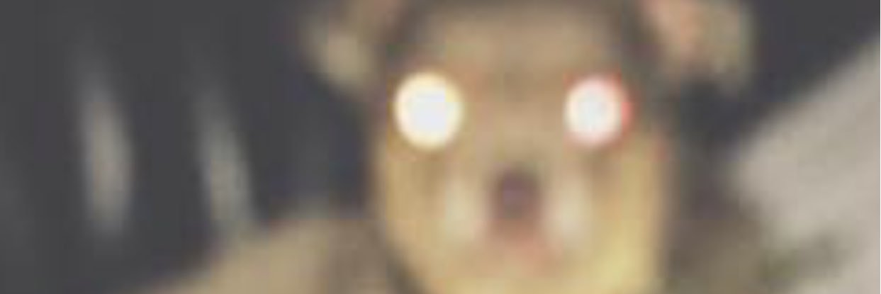 JoshuaLandrith's profile banner image