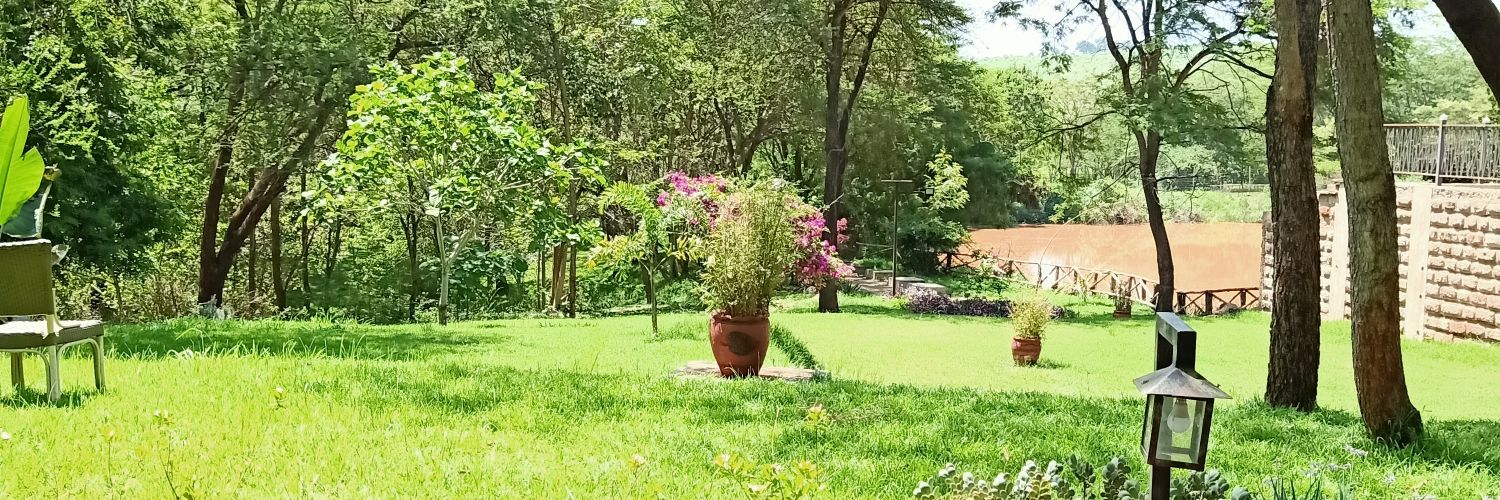 BublyO's profile banner image